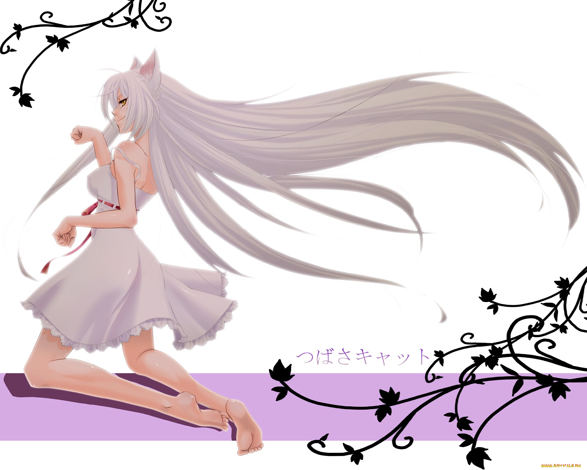 , bakemonogatari, , , 